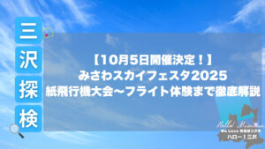 みさわスカイフェスタ